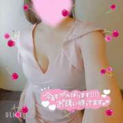 ヒメ日記 2025/06/08 12:04 投稿 暁ナオ フォーナイン熊本