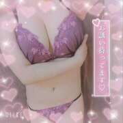 ヒメ日記 2025/06/08 13:42 投稿 暁ナオ フォーナイン熊本