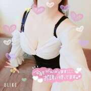 ヒメ日記 2025/06/16 11:52 投稿 暁ナオ フォーナイン熊本