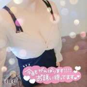 ヒメ日記 2025/06/30 11:52 投稿 暁ナオ フォーナイン熊本