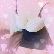 ヒメ日記 2025/06/30 18:42 投稿 暁ナオ フォーナイン熊本