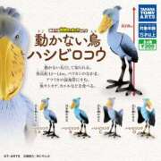 ヒメ日記 2025/10/15 22:13 投稿 暁ナオ フォーナイン熊本