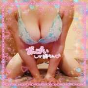 ヒメ日記 2025/11/15 13:42 投稿 暁ナオ フォーナイン熊本