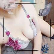 ヒメ日記 2025/12/02 12:36 投稿 暁ナオ フォーナイン熊本