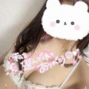 ヒメ日記 2025/02/25 14:03 投稿 あかり スパーク日本橋