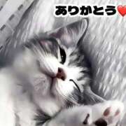 ヒメ日記 2025/09/20 16:39 投稿 あかり スパーク日本橋