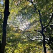 ヒメ日記 2025/11/22 20:38 投稿 特プレミアえま【魅了する輝き♡】 LIPS(リップス)