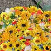 ヒメ日記 2025/02/13 22:41 投稿 愛須　さとみ 30・40・50代☆人妻熟女コレクション