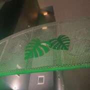 ヒメ日記 2025/03/06 23:04 投稿 愛須　さとみ 30・40・50代☆人妻熟女コレクション