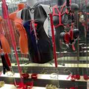 ヒメ日記 2025/03/08 23:28 投稿 愛須　さとみ 30・40・50代☆人妻熟女コレクション