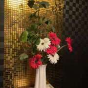 ヒメ日記 2025/03/08 23:39 投稿 愛須　さとみ 30・40・50代☆人妻熟女コレクション