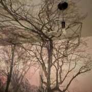 ヒメ日記 2025/03/11 22:30 投稿 愛須　さとみ 30・40・50代☆人妻熟女コレクション