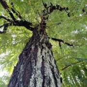 ヒメ日記 2025/03/23 21:45 投稿 愛須　さとみ 30・40・50代☆人妻熟女コレクション