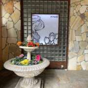 ヒメ日記 2025/03/24 12:25 投稿 愛須　さとみ 30・40・50代☆人妻熟女コレクション