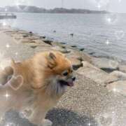 ヒメ日記 2025/03/26 12:37 投稿 愛須　さとみ 30・40・50代☆人妻熟女コレクション