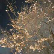 ヒメ日記 2025/03/27 23:22 投稿 愛須　さとみ 30・40・50代☆人妻熟女コレクション