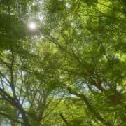 ヒメ日記 2025/04/27 11:34 投稿 愛須　さとみ 30・40・50代☆人妻熟女コレクション