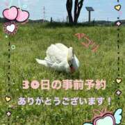 ヒメ日記 2025/05/28 14:05 投稿 愛須　さとみ 30・40・50代☆人妻熟女コレクション