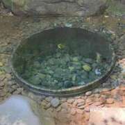 ヒメ日記 2025/06/04 19:22 投稿 愛須　さとみ 30・40・50代☆人妻熟女コレクション