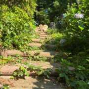 ヒメ日記 2025/06/05 08:58 投稿 愛須　さとみ 30・40・50代☆人妻熟女コレクション