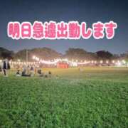 ヒメ日記 2025/07/28 09:40 投稿 愛須　さとみ 30・40・50代☆人妻熟女コレクション