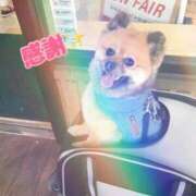 ヒメ日記 2025/08/22 09:27 投稿 愛須　さとみ 30・40・50代☆人妻熟女コレクション