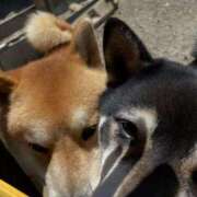 ヒメ日記 2025/08/24 16:48 投稿 愛須　さとみ 30・40・50代☆人妻熟女コレクション