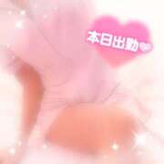 ヒメ日記 2025/04/25 12:33 投稿 ももこ 治療院.LOVE 宇都宮店