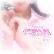 ヒメ日記 2025/06/15 13:03 投稿 ももこ 治療院.LOVE 宇都宮店