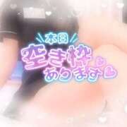 ヒメ日記 2025/06/22 18:12 投稿 ももこ 治療院.LOVE 宇都宮店