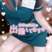 ヒメ日記 2025/12/07 12:27 投稿 ももこ 治療院.LOVE 宇都宮店