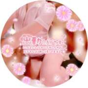 ヒメ日記 2026/03/03 07:27 投稿 ももこ 治療院.LOVE 宇都宮店