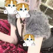 ヒメ日記 2025/03/07 18:47 投稿 かなで キャンパスサミット　千葉店