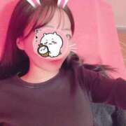 ヒメ日記 2025/11/28 00:37 投稿 みみ・SP やまとなでしこ桜組