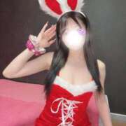 ヒメ日記 2025/12/25 14:36 投稿 みみ・SP やまとなでしこ桜組