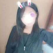 ヒメ日記 2025/12/26 11:10 投稿 みみ・SP やまとなでしこ桜組