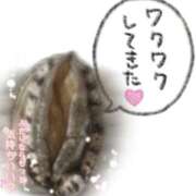 ヒメ日記 2026/02/26 11:32 投稿 ほなみ 美熟女倶楽部Hip's 春日部店