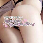 ヒメ日記 2026/03/16 14:52 投稿 ほなみ 美熟女倶楽部Hip's 春日部店