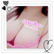 ヒメ日記 2025/02/28 13:02 投稿 しょこら 熟女の風俗最終章 相模原店