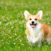 ヒメ日記 2026/01/22 21:40 投稿 時任はな 全裸の極みorドッキング痴漢電車