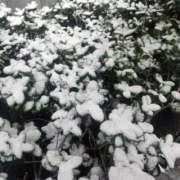 ヒメ日記 2026/02/08 08:25 投稿 時任はな 全裸の極みorドッキング痴漢電車