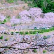 ヒメ日記 2025/03/31 17:24 投稿 松井　ちほ スタイリッシュ秘書