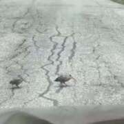 ヒメ日記 2025/07/18 09:06 投稿 りあ 愛嬌と感度抜群！ ウエスト・コム