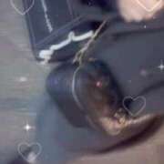 永瀬ゆず しゅっきん！ ウルトラハピネス