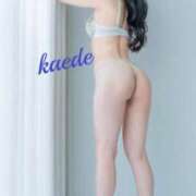 ヒメ日記 2025/05/20 17:36 投稿 かえで 吉原ファーストレディ