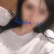 ヒメ日記 2025/06/19 00:26 投稿 かえで 吉原ファーストレディ