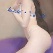 ヒメ日記 2026/04/13 19:26 投稿 かえで 吉原ファーストレディ