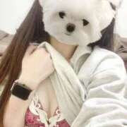 ヒメ日記 2025/12/15 17:35 投稿 みどり IRIS(岐阜)