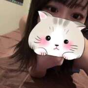 ヒメ日記 2025/02/13 12:23 投稿 いくら BLUE BIRD (ブルーバード) 上越