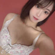 ヒメ日記 2025/02/26 17:12 投稿 シルク 姫路ラビット